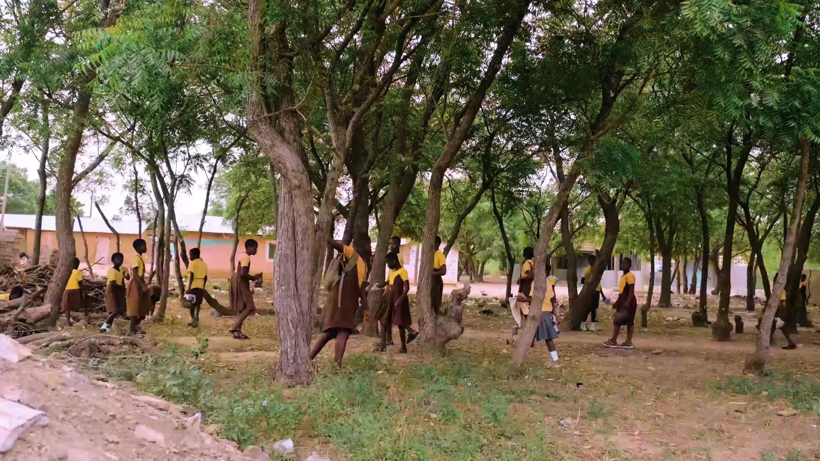 Children of a local community among trees